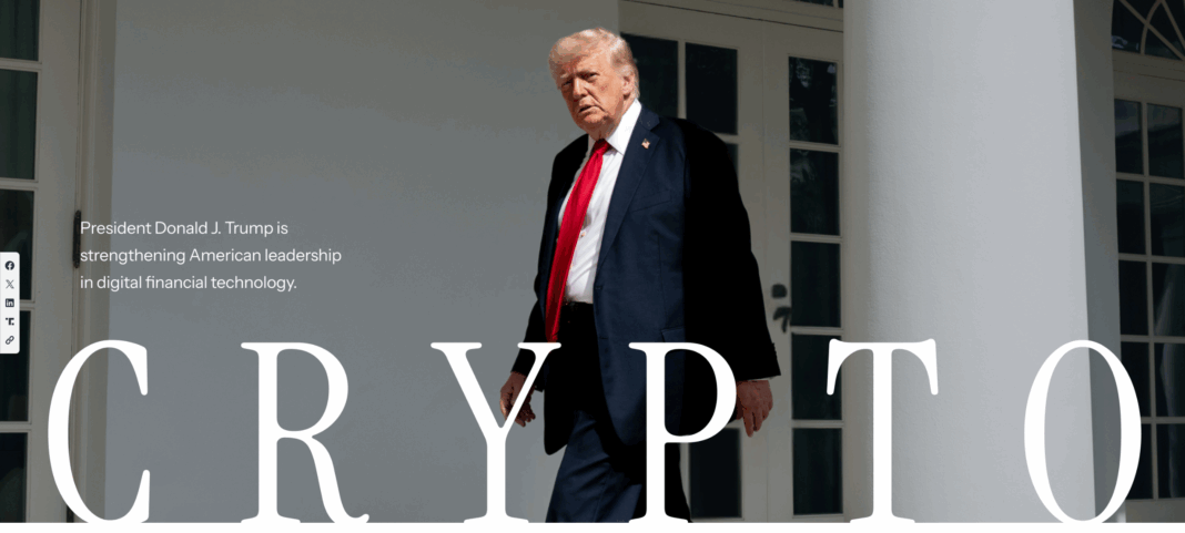 2025-08-07 GEVX 홀딩, NVDX, AVGU 수익 실현, BMNR, CONL 매수