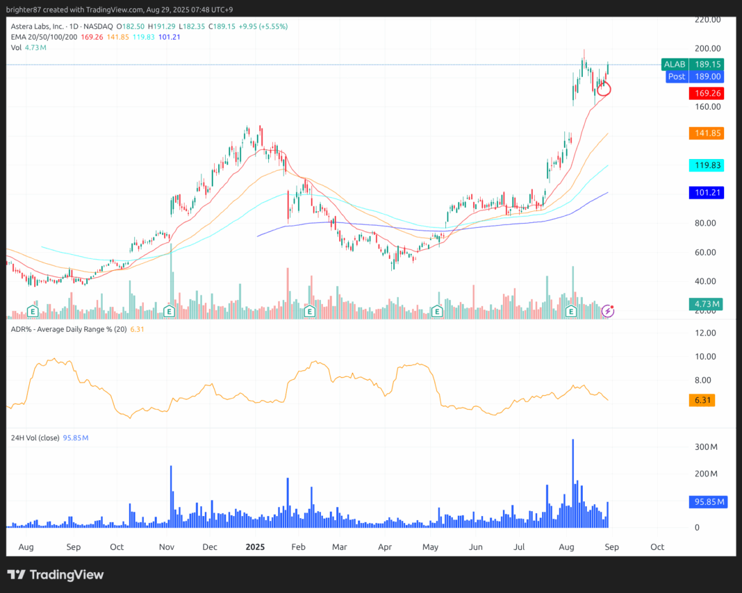 2025-08-29 새로운 종목 추가 매수