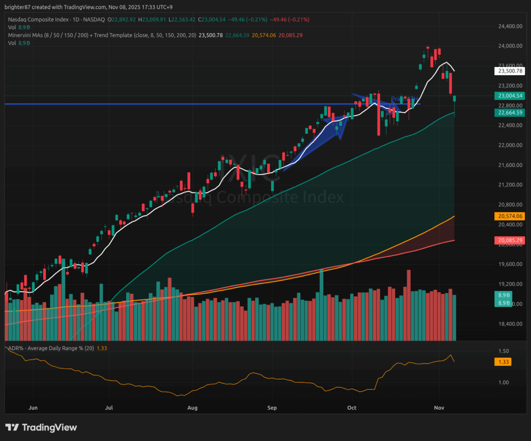 2025-11-08 조정으로부터의 작은 반등